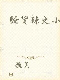 骚货辣文小说