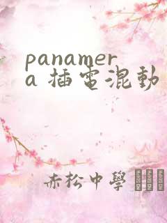 panamera 插电混动多少钱 panamera 插电混动多少钱
