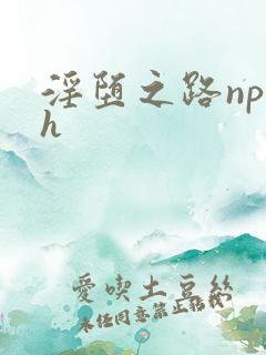 淫堕之路np高h