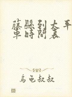藤县到太平公交车时间表