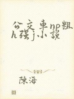公交车np粗暴h强j小说