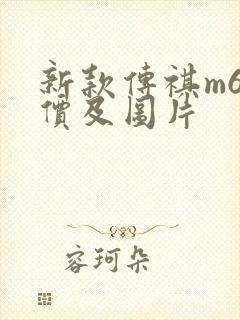 新款传祺m6报价及图片