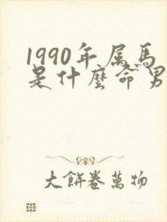 1990年属马是什么命男婚姻状况