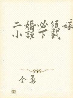 二婚必须嫁太子小说下载