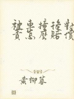 被车撞后对方全责怎么赔偿