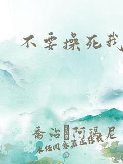 不要操死我了
