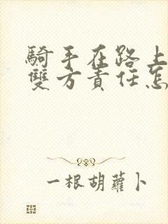 骑手在路上车祸双方责任怎么赔偿