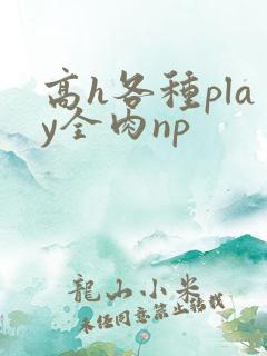 高h各种play全肉np