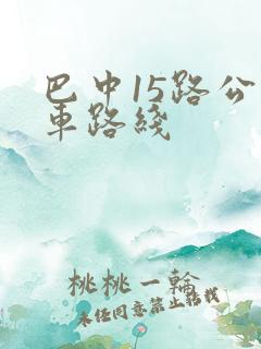 巴中15路公交车路线