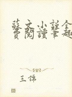 苏文小说全文免费阅读笔趣阁