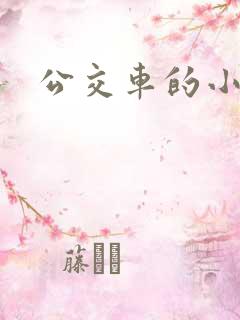 公交车的小故事