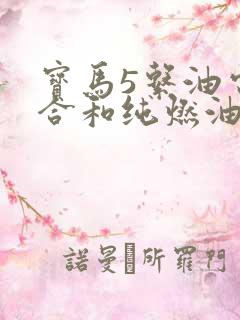 宝马5系油电混合和纯燃油哪个好