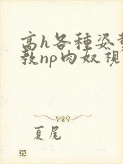 高h各种姿势调教np肉奴视频