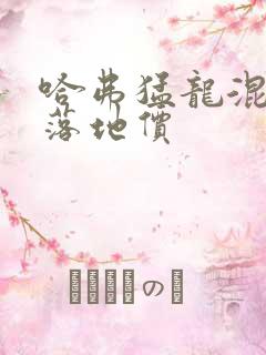 哈弗猛龙混动版落地价