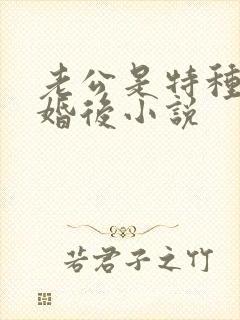 老公是特种兵的婚后小说