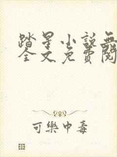 踏星小说无弹窗全文免费阅读 踏星小说无弹窗全文免费阅读