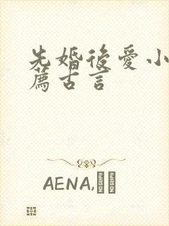 先婚后爱小说推荐古言