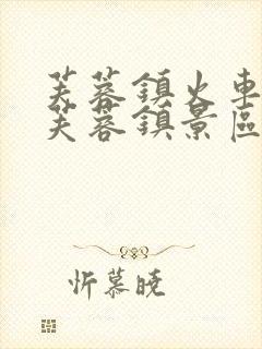 芙蓉镇火车站到芙蓉镇景区有公交车吗