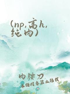 (np,高h,纯肉)