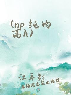 (np 纯肉 高h)