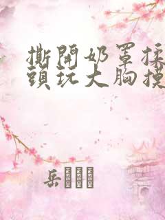 撕开奶罩揉吮奶头玩大胸摸下面小说