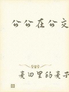 公公在公交车上