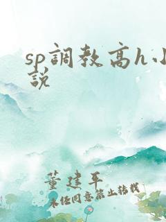 sp调教高h小说