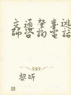 交通肇事逃逸律师咨询电话