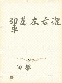 30万左右混动车