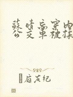 苏晴忘穿内裤坐公交车被揉到视频