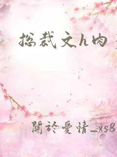 总裁文h肉多