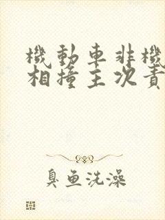 机动车非机动车相撞主次责任