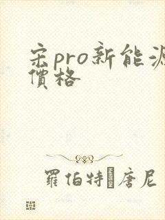 宋pro新能源价格