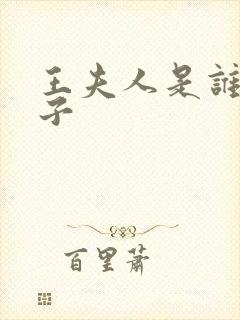 王夫人是谁的妻子