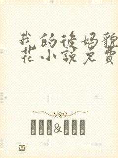 我的后妈貌美如花小说免费阅读