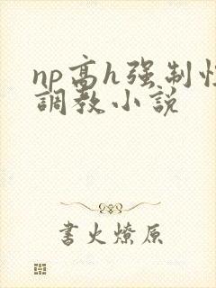 np高h强制性调教小说