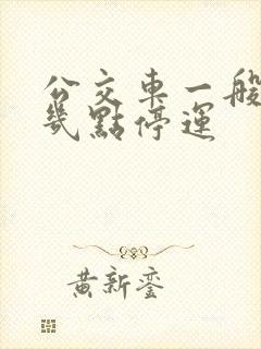 公交车一般晚上几点停运
