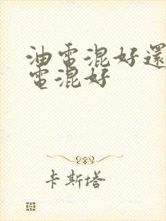 油电混好还是插电混好