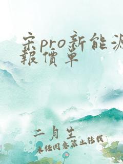 宋pro新能源报价单 宋pro新能源报价单
