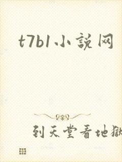 t7b1小说网