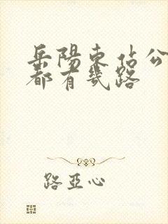 岳阳东站公交车都有几路