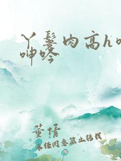 丫鬟肉高h喷汁呻吟