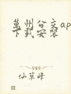 万州公交app下载安装