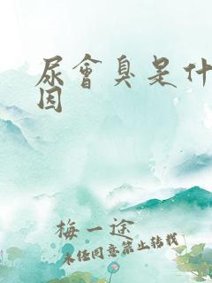 尿会臭是什么原因