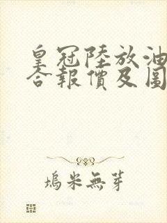 皇冠陆放油电混合报价及图片