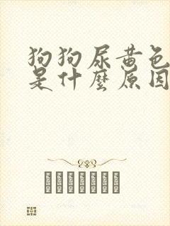 狗狗尿黄色的尿是什么原因