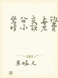 坐公交上班的苏晴小说免费阅读