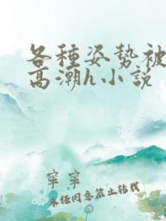 各种姿势被脔到高潮h小说