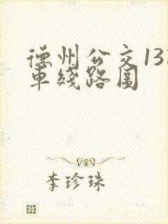 德州公交13路车线路图