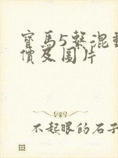 宝马5系混动报价及图片